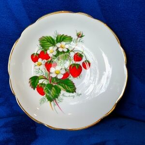 Regency Bone China teacup saucer